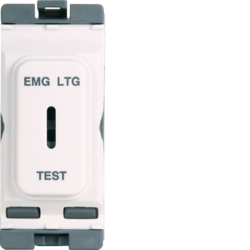 WMGKS/EL 20A Double Pole Key Switch Marked 'EM LTG TEST'
