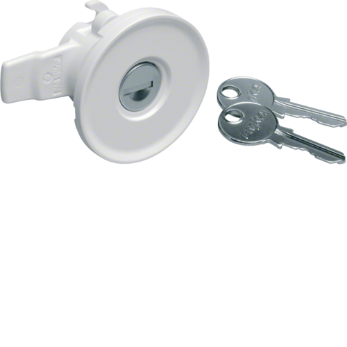 FZ597N Lock,  univers,  cylinder Nr.1242E,  with 2 keys,  for enclosure IP44/54