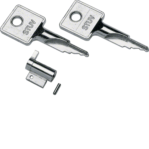 VZ313 Door key,  gamma,  for door of the mini-enclosure,  GD
